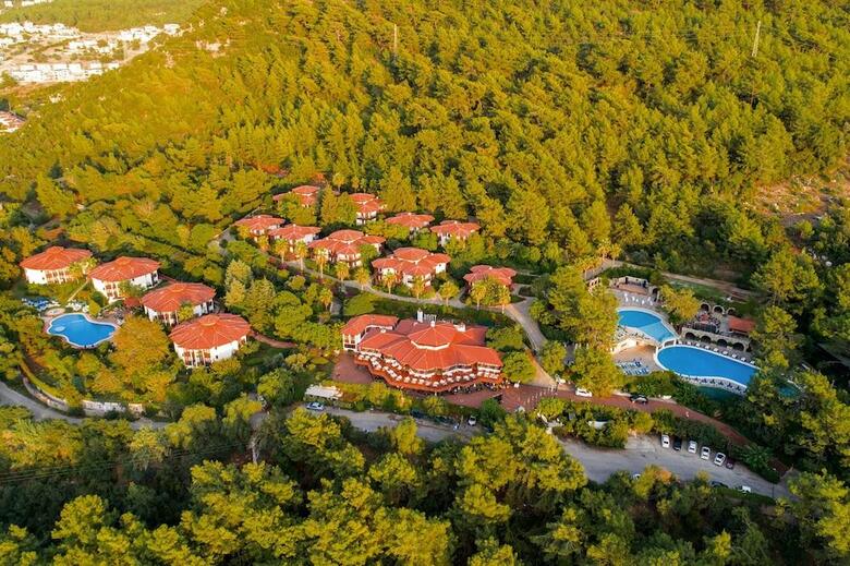 Hotel Montana Pine