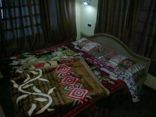 Hostal Aashu's Lodge