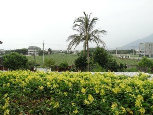 Hualien Casa De Dafne B&B