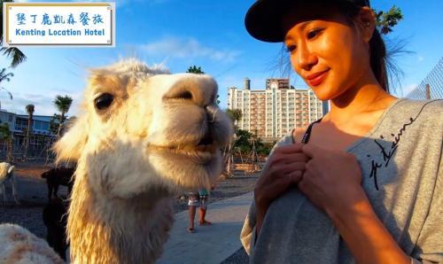 Bed & Breakfast Green Sea - Kenting