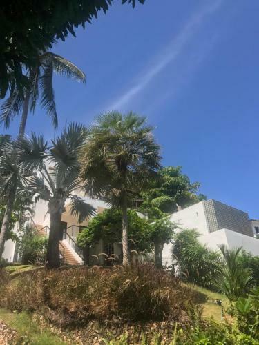Villa Wild Palms