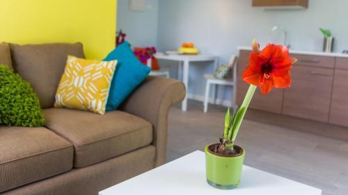 Apartamento Bubali Bliss Studios