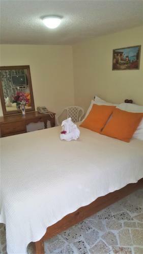 Hostal Paradise Inn