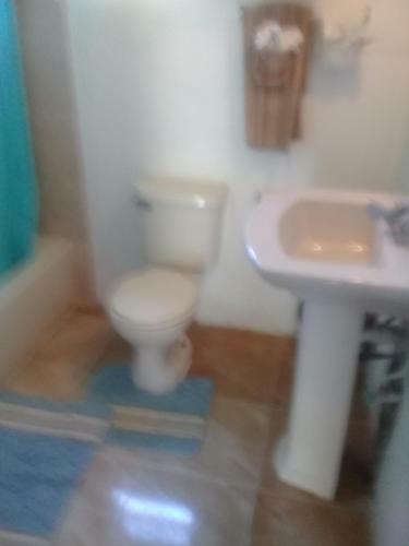 Hostal Boston Beach Guesthouse