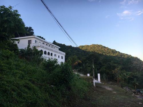 Mr Barry's White House