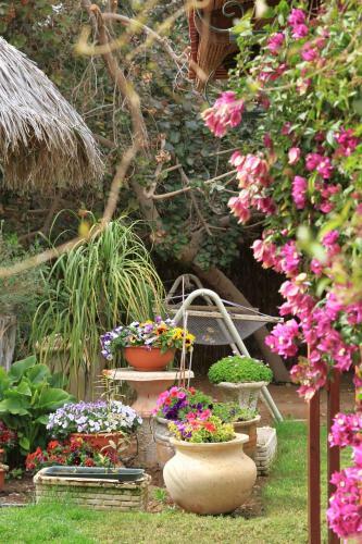Idan Lodge In The Arava