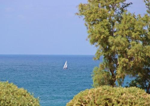 Apartamento Kalicasa By The Sea