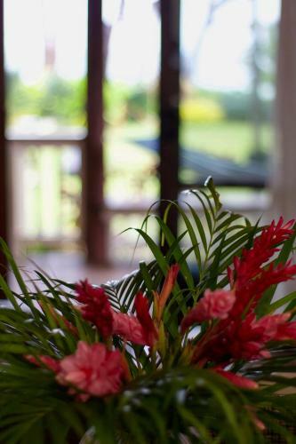 Sugar Beach Villas