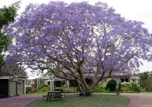 Motel Ecotel Narooma