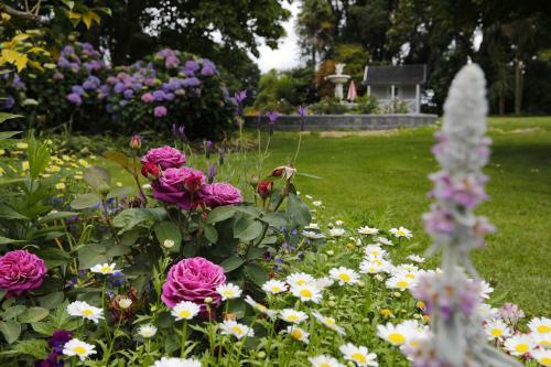 Bed & Breakfast Villa Walton