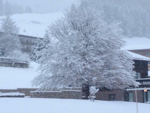 Hostal G�stehaus Baldauf