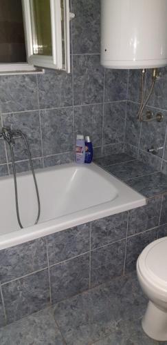 Hostel Vedran