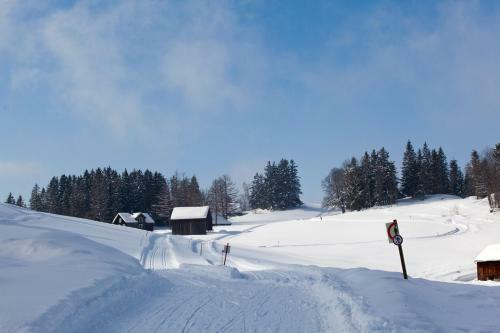 Hotel Arvenb�el