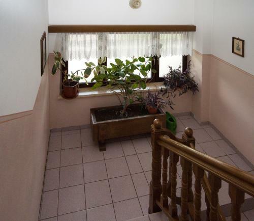 Apartamento Haus Egger
