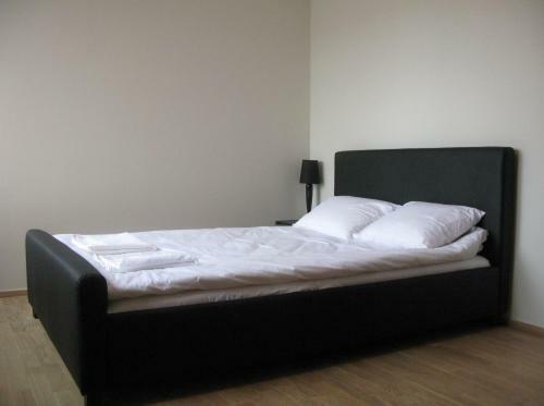 Apartamento Aisa K�laliskorter