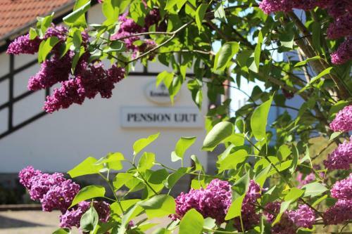 Posada Pension Ujut