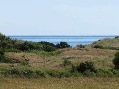 Four-bedroom Holiday Home In Skagen 3