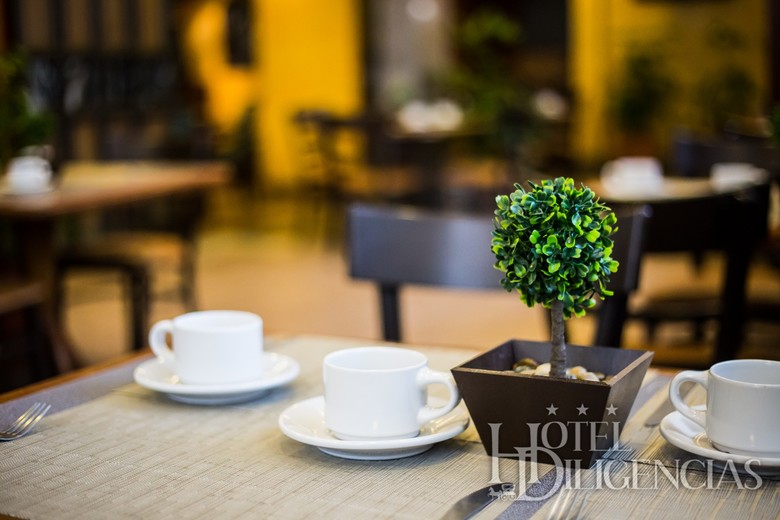 Hotel Diligencias