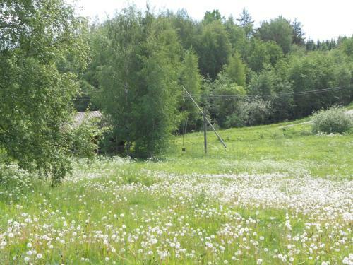 Bed & Breakfast Majatalo Korkeatupa