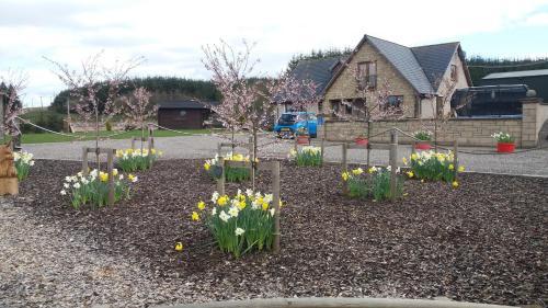 Bed & Breakfast Lochinvar