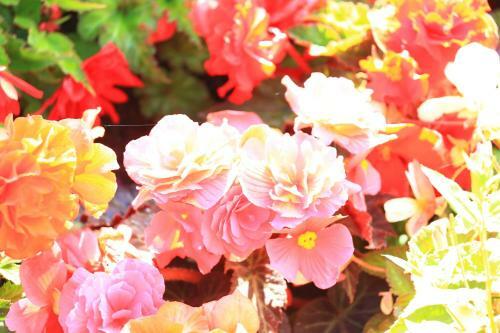 Bed & Breakfast Reighamsyde House
