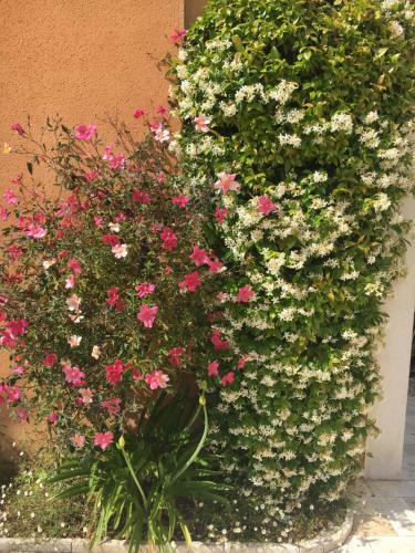 Bed & Breakfast Les Lavandes