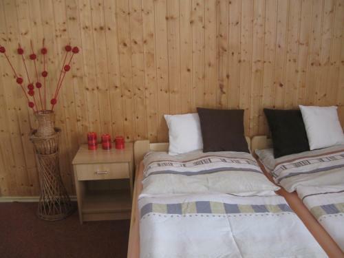 Hostal Penzion Vyso?ina