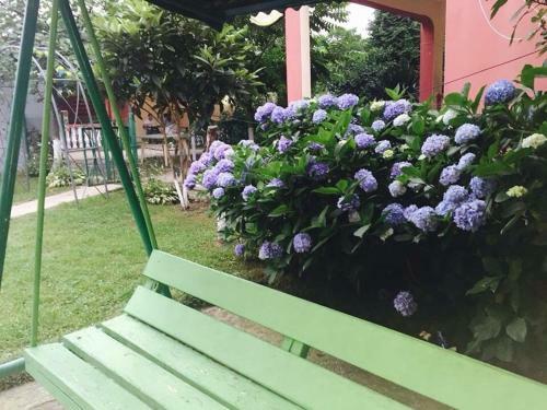 Hostal Guest House Smile