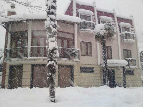 Villa Willa Batumi