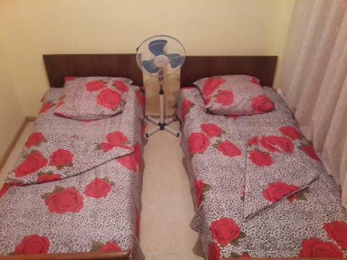 Lemon Hostel