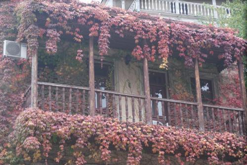 Hostal Guest House Santlis Shesakhvevi