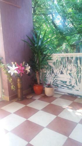 Apartamento Szentesifarm