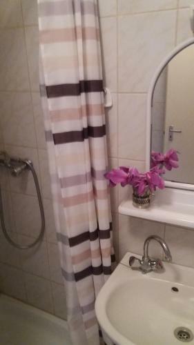 Apartamento Szentesifarm