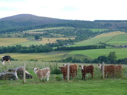 Broomhead Guest House B&B
