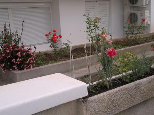 Fania Apartments