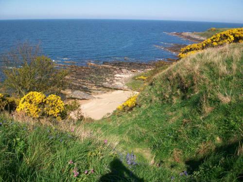 Carnegie Holiday Cottage