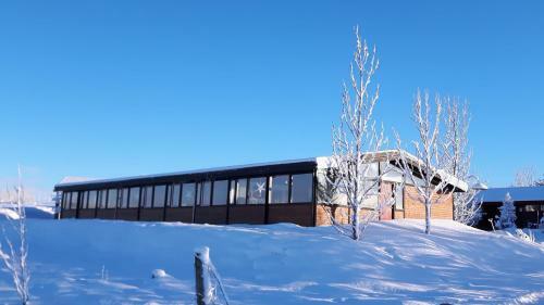 Albergue Geysir Hestar