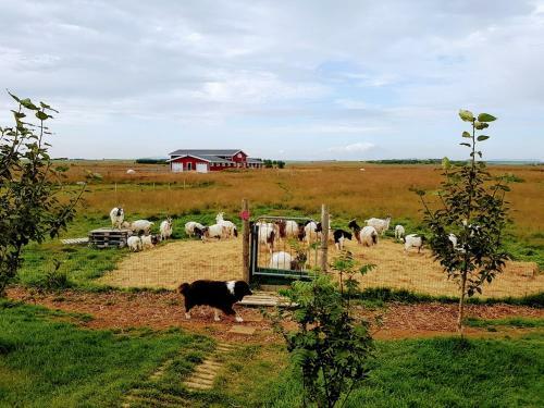 Hostal Sk�latj�rn Homestay