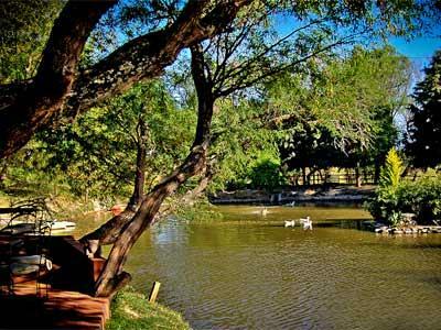 Hotel Casa De Aves