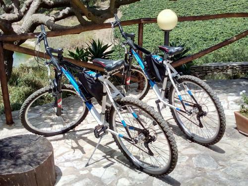 Agroturismo Agriturismo Tenute Pispisa Segesta