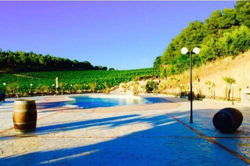 Agroturismo Agriturismo Tenute Pispisa Segesta