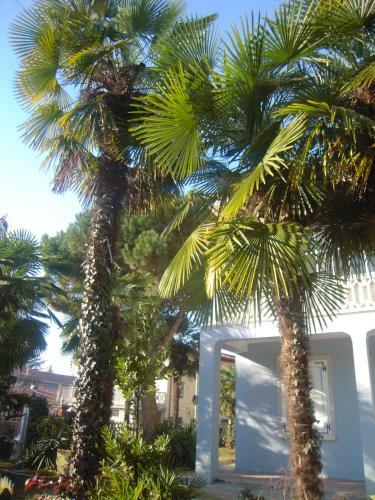 B&B Il Passito Caluso