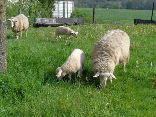 Agroturismo Fermeaust