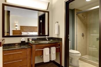 Hotel Hyatt Place Dulles Airport South