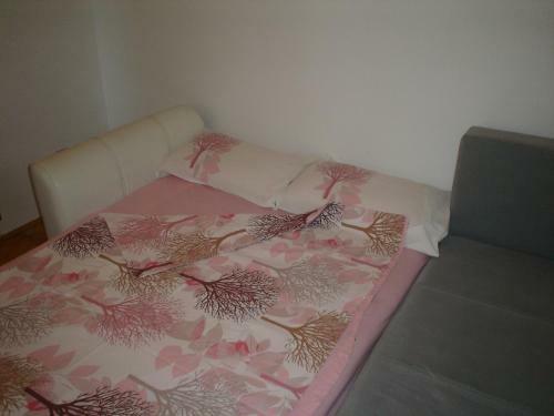 Apartment Babin Do