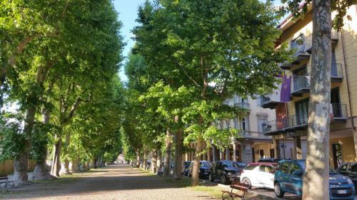 Bed & Breakfast Beb Le Terrazze Torino - Ciri�