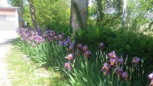 Bed & Breakfast Cascina Torello