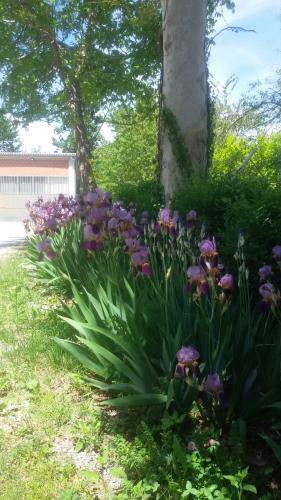 Bed & Breakfast Cascina Torello