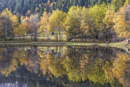 Hotel Albergo Rotenthal