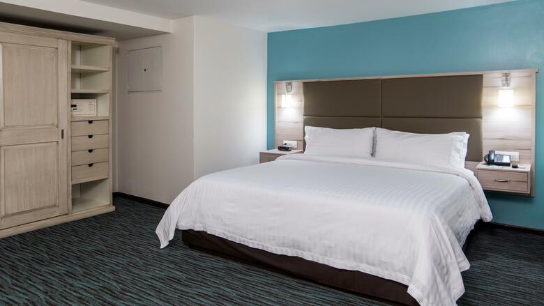 Holiday Inn Hotel & Suites Zona Rosa